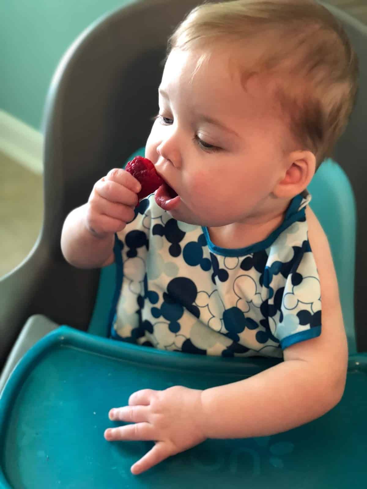 best foods baby led weaning 30 first foods