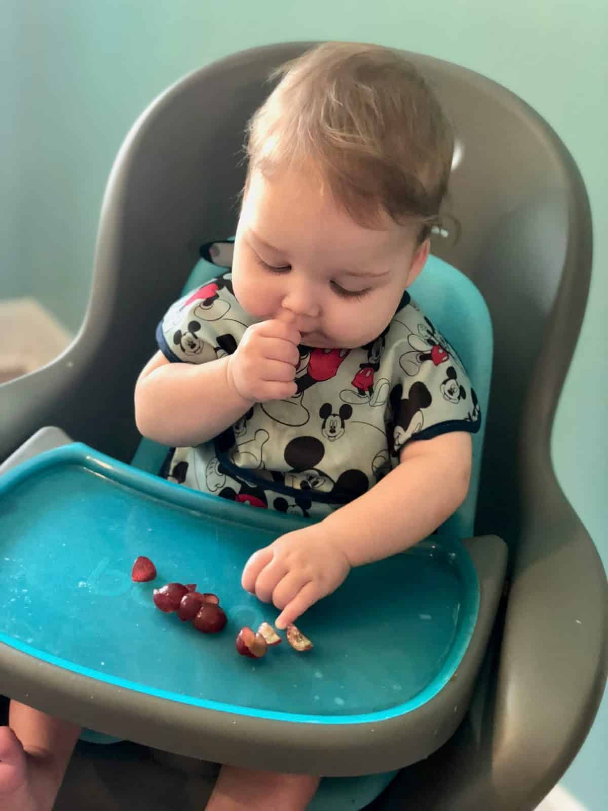 best foods baby led weaning 30 first foods