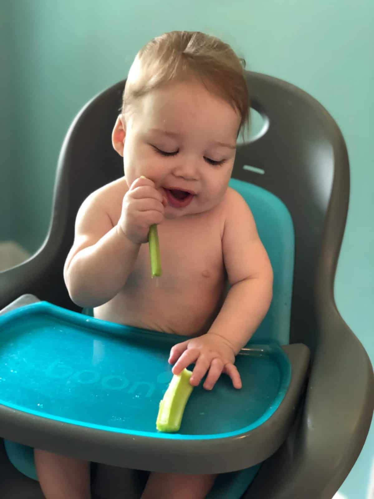 best foods baby led weaning 30 first foods