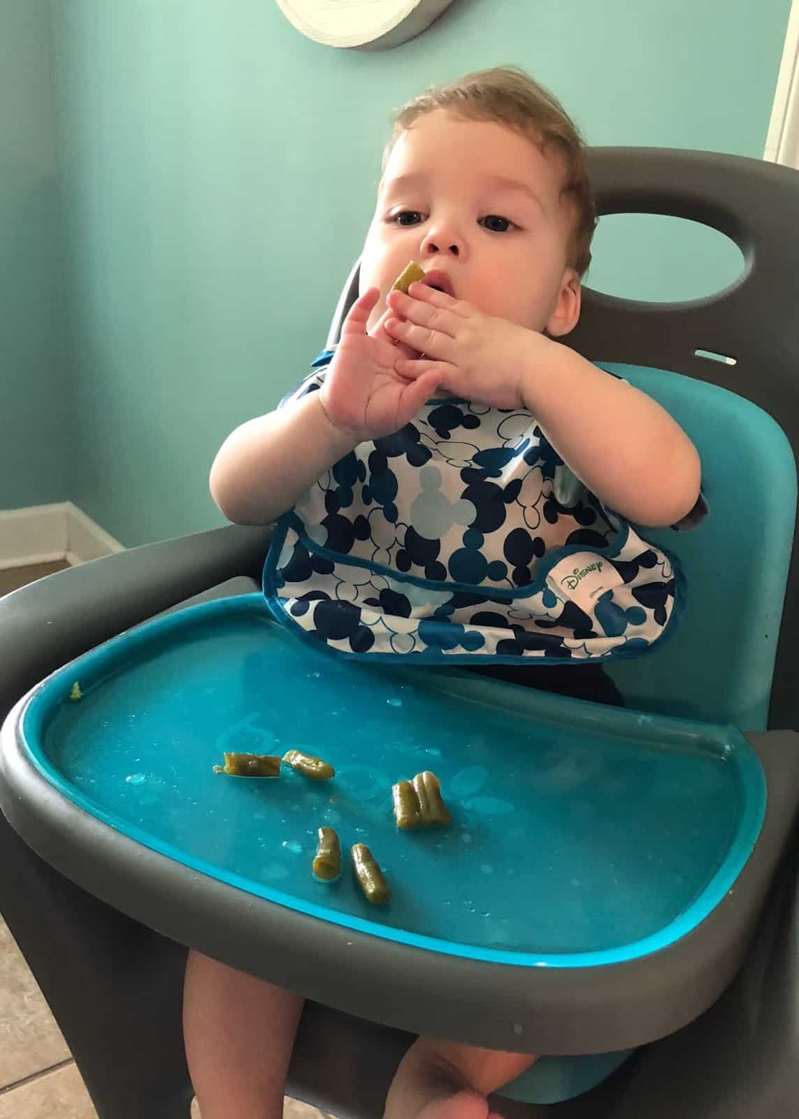 best foods baby led weaning 30 first foods