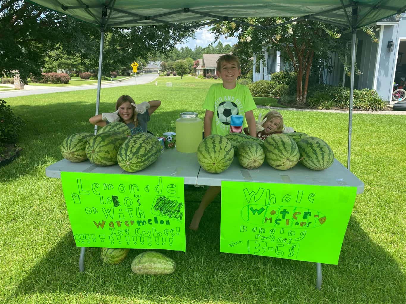Monthly Family Recap: July 2020