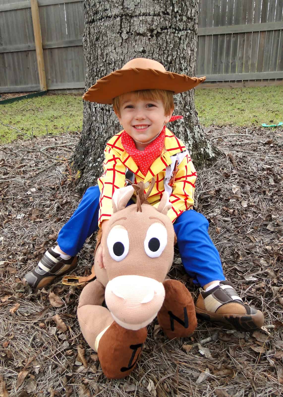 toy story halloween costumes woody