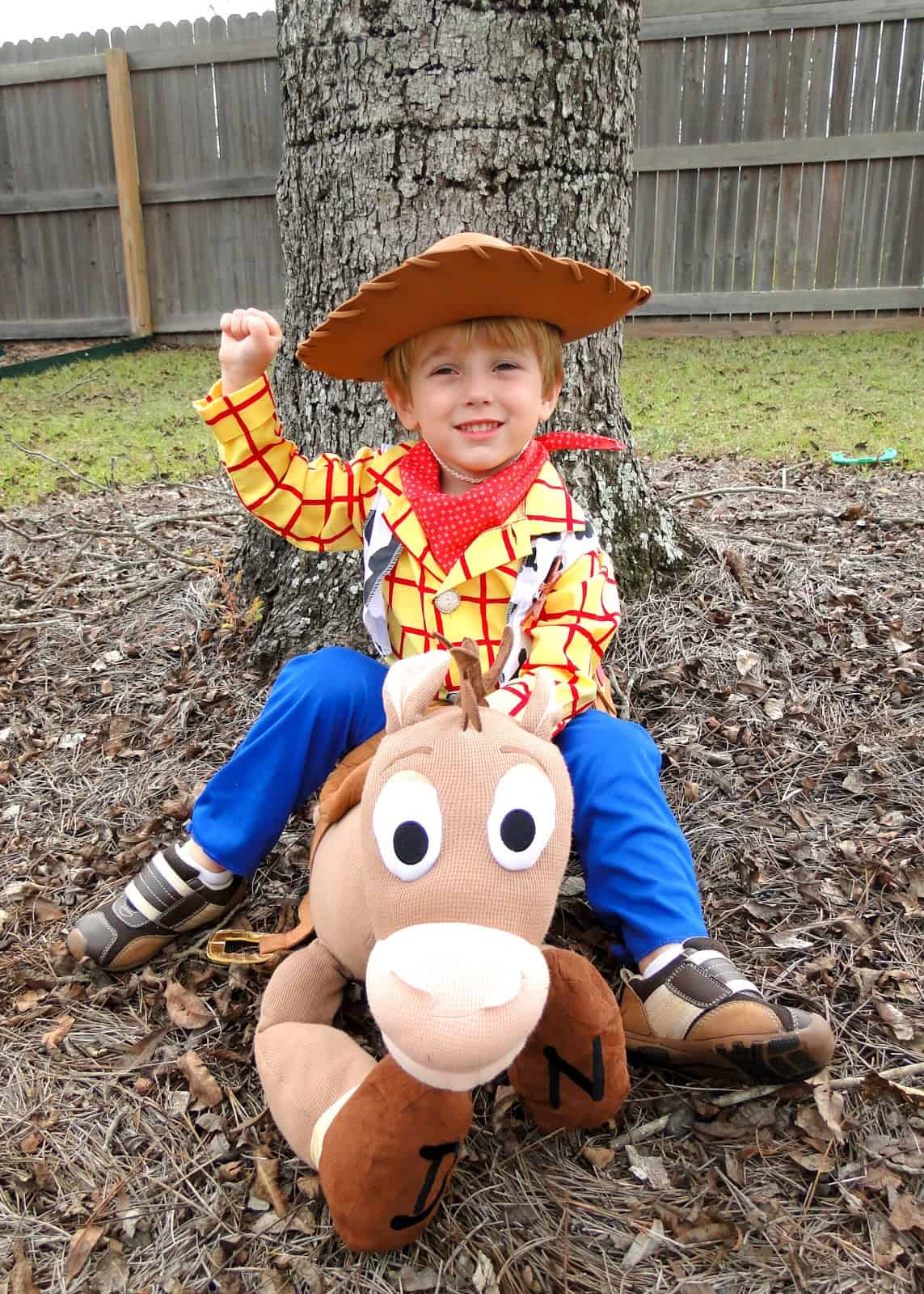 toy story halloween costumes woody