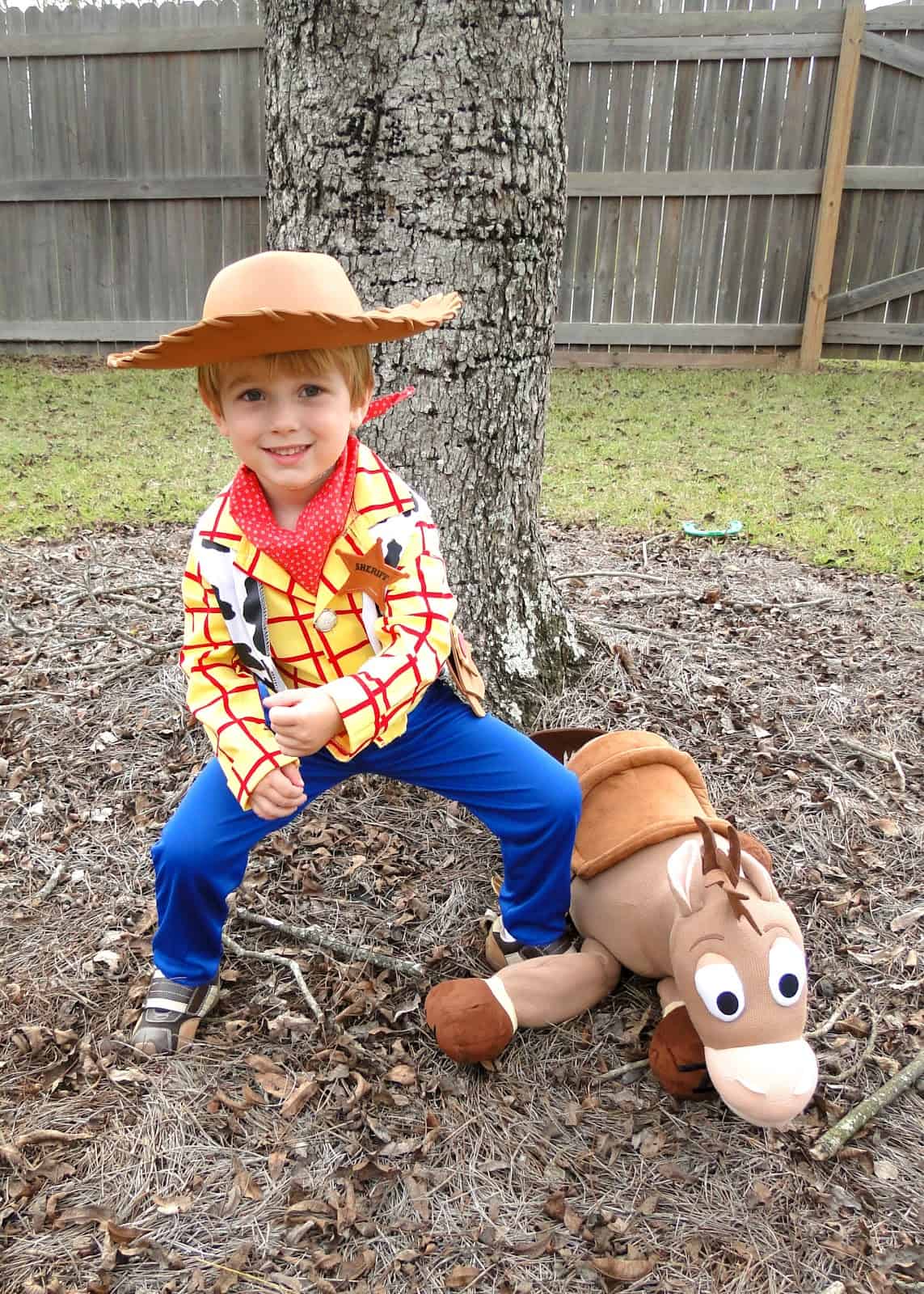 toy story halloween costumes woody