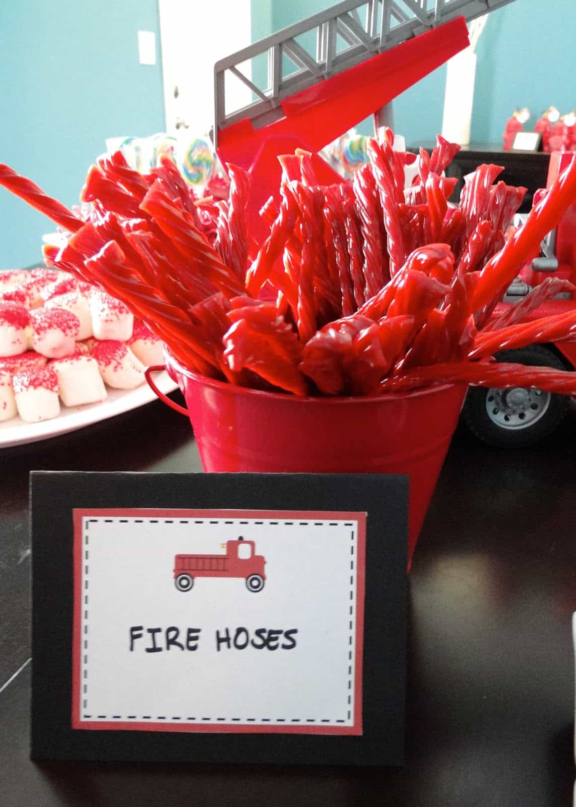 fire truck birthday party ideas