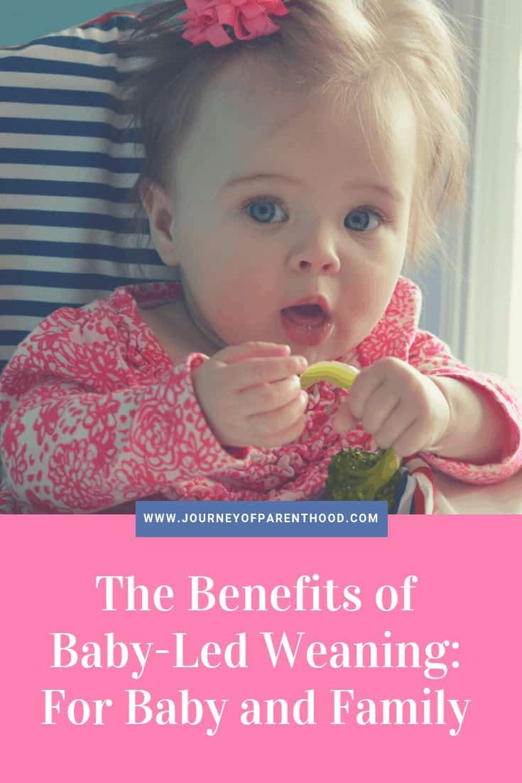 benefits of baby led weaning for baby and family introducing solids to baby