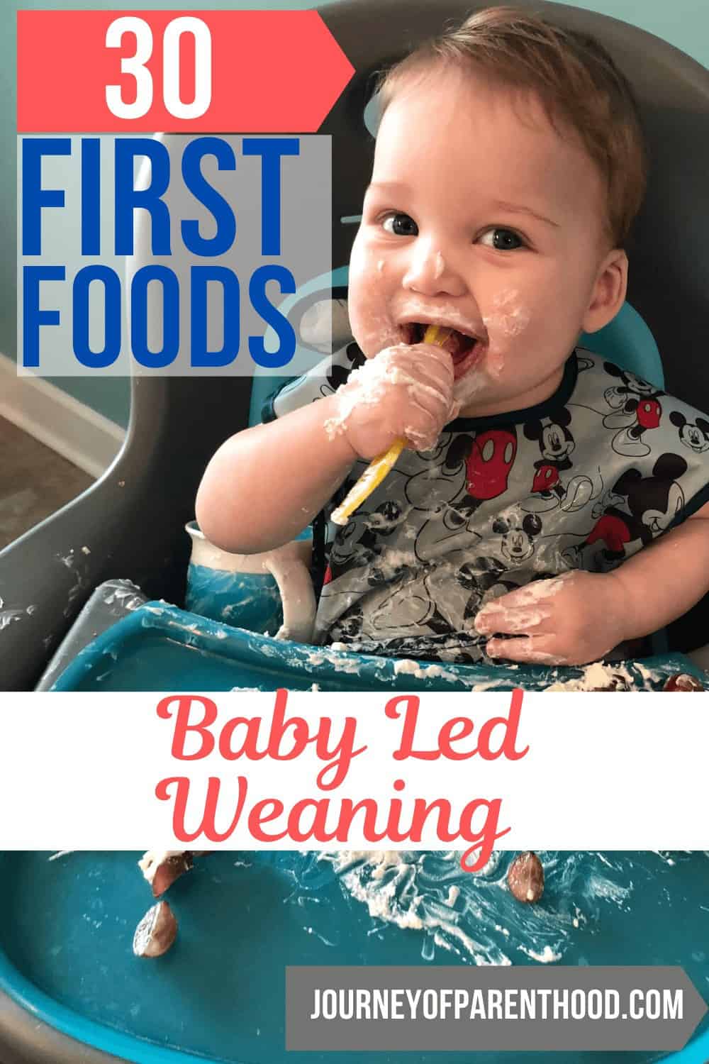 30 first foods with baby led weaning