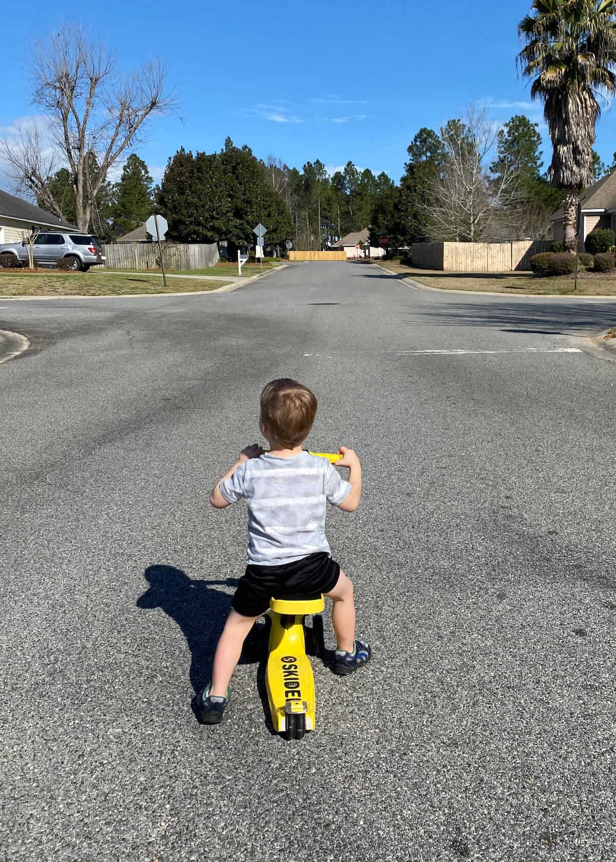 the best scooter for toddler