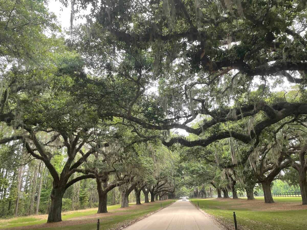 Boone Hall plantation 