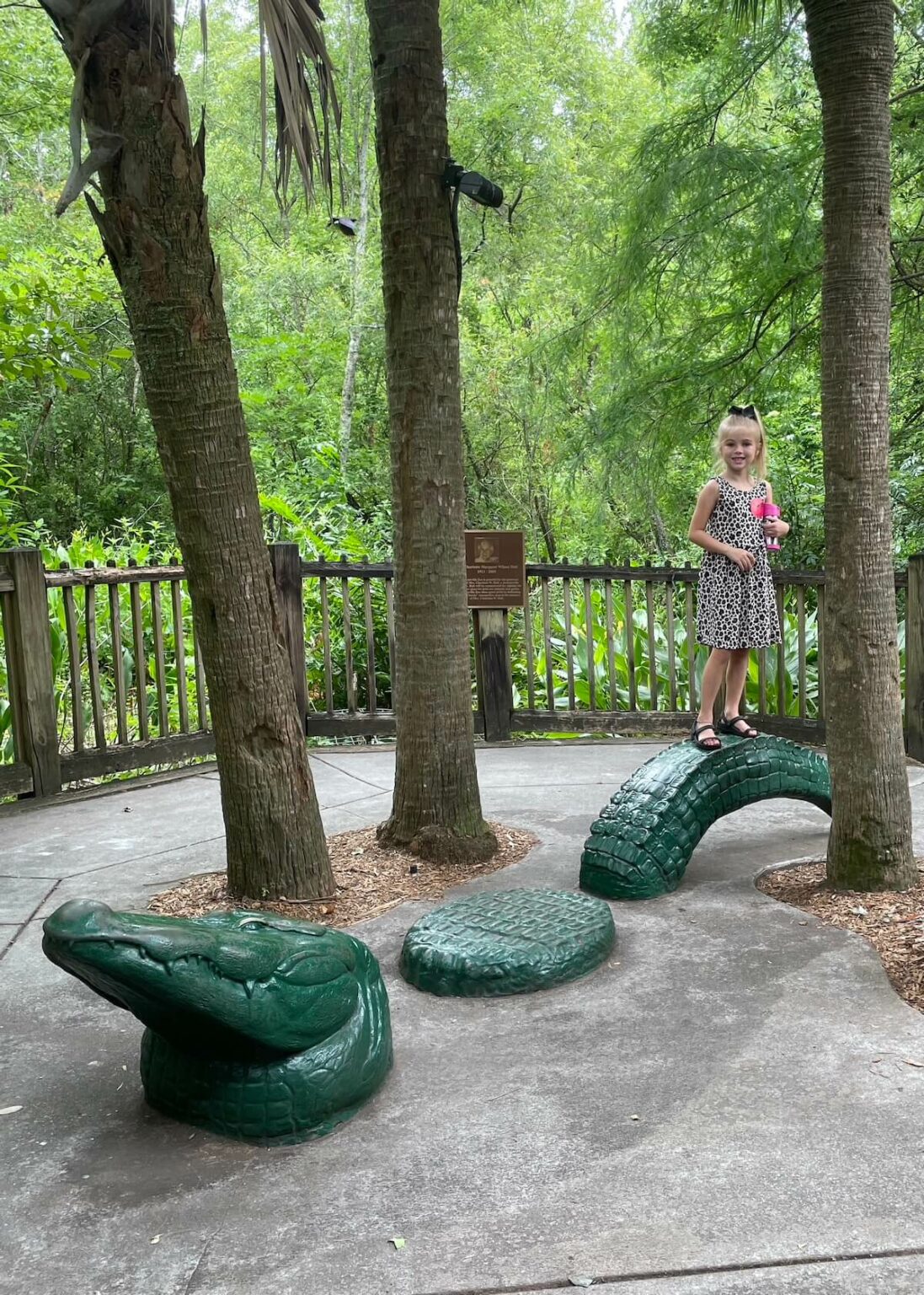 Tips for Visiting Jacksonville Zoo Jacksonville Zoo Planning Guide