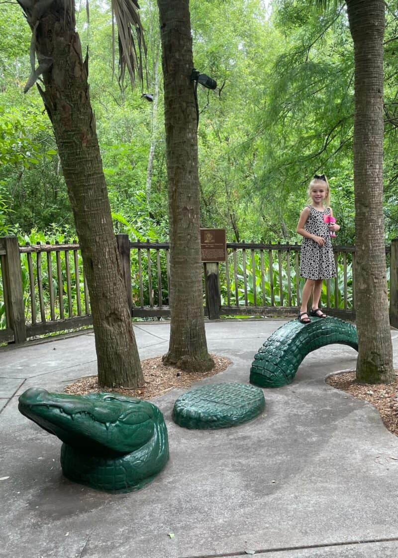 Tips for Visiting Jacksonville Zoo Jacksonville Zoo Planning Guide