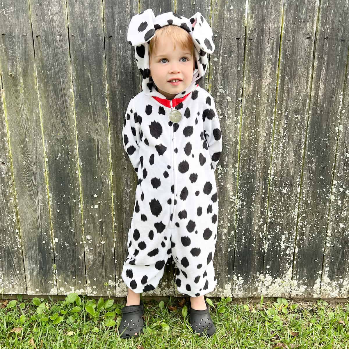 Cruella Family Costume Ideas for Halloween - an easy, DIY 101 Dalmatians family costume with a Cruella De Vil twist!