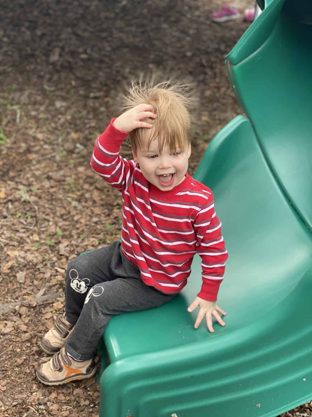 The Best Backyard Playground for Families