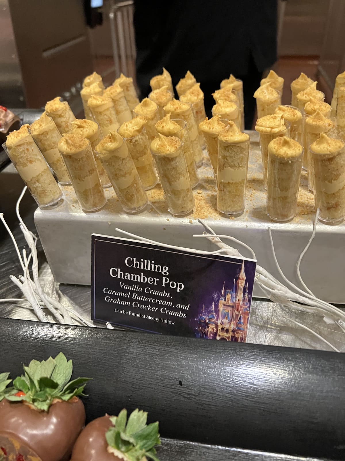 Disney Enchantment Treats and Seats - Disney Fireworks Dessert Party Review and the Answer to the Question: "what time does the fireworks start at disney world?"