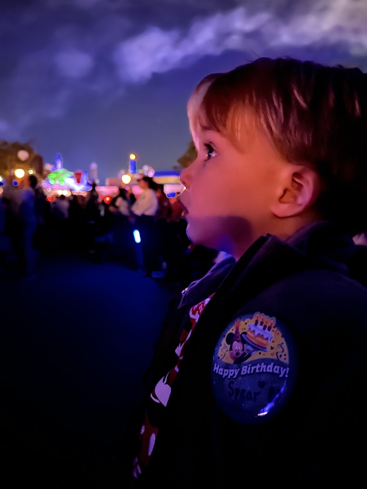 disney enchantment treats and seats disney fireworks dessert party magic kingdom