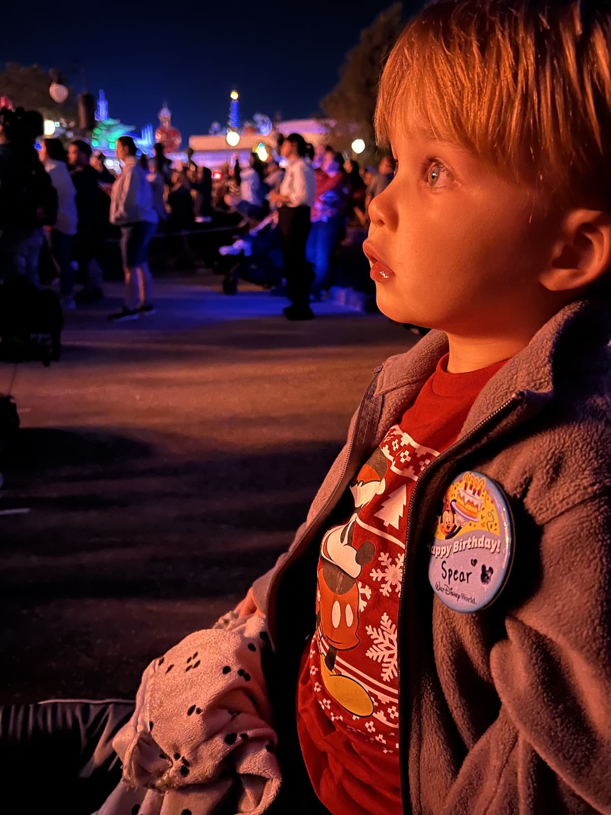 disney enchantment treats and seats disney fireworks dessert party magic kingdom