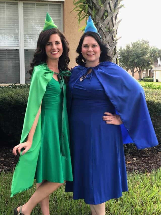 60+ DIY Disney Costumes for Adults and Kids