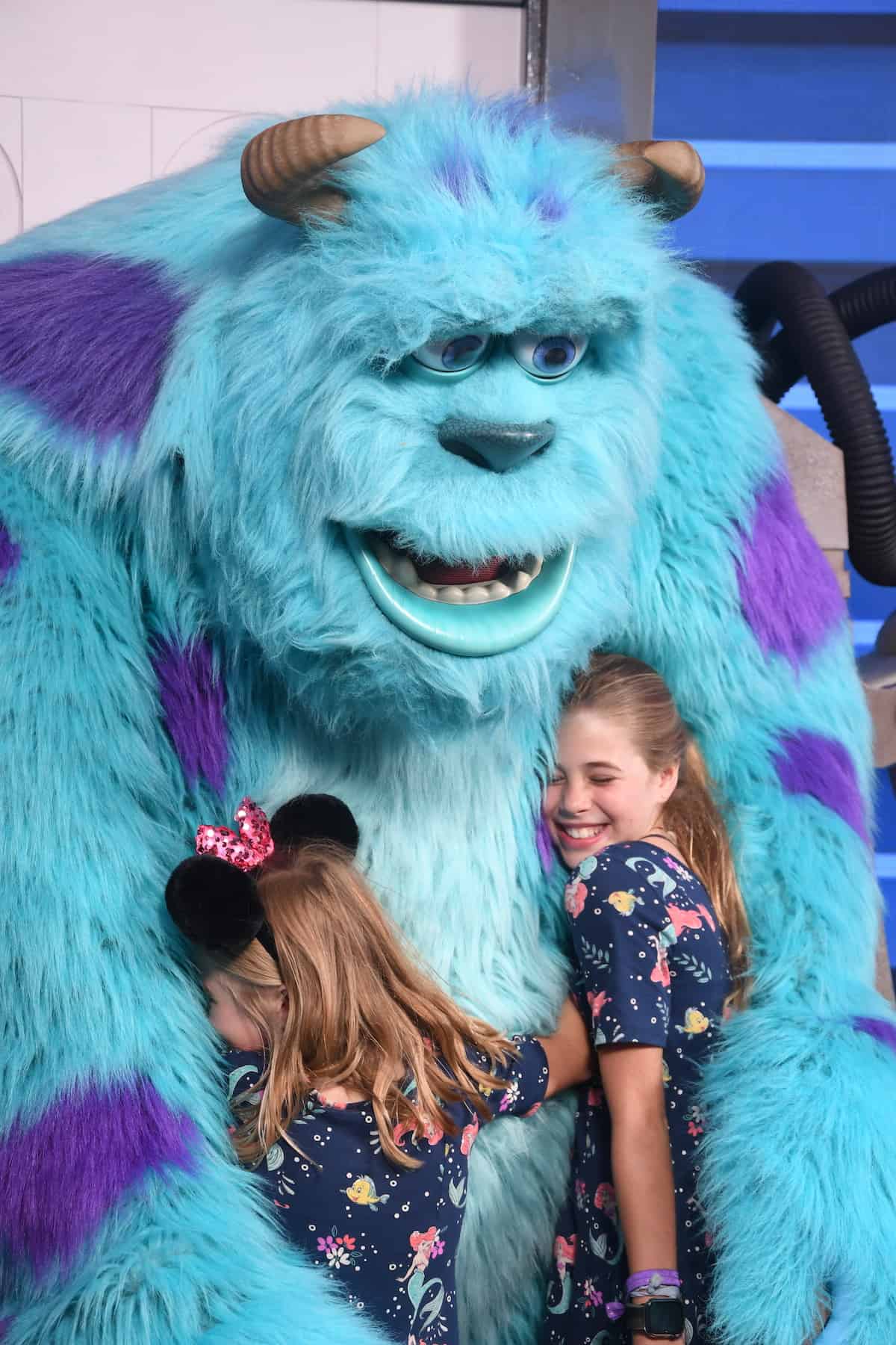 Can you meet ALL the characters at Disney World? 