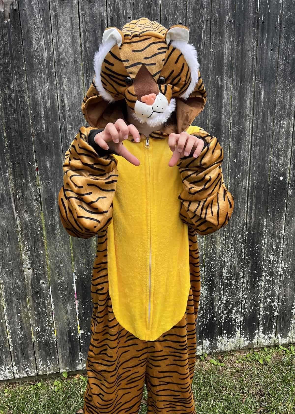 family aladdin halloween costumes - rajah 