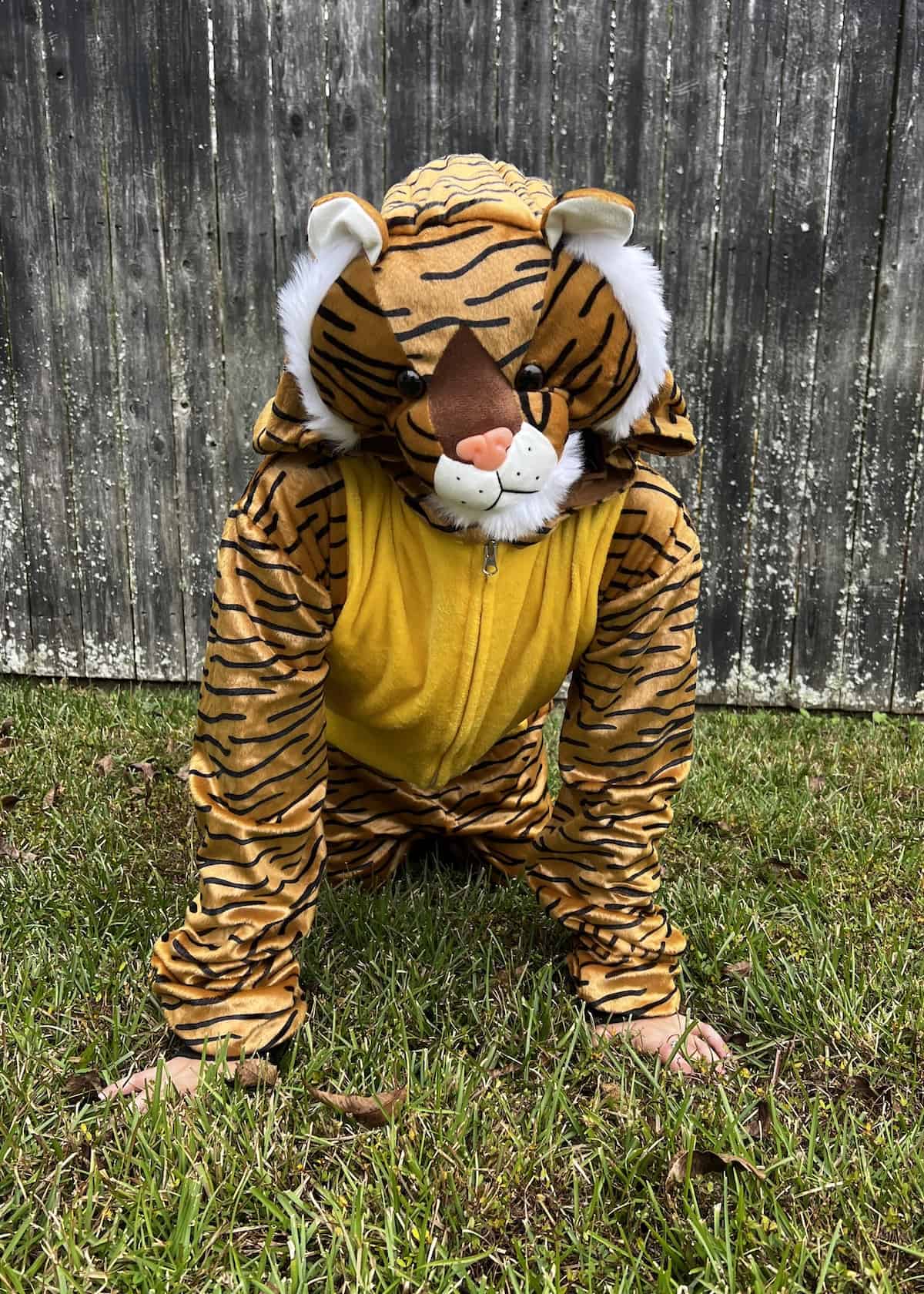 family halloween costumes aladdin - rajah costume