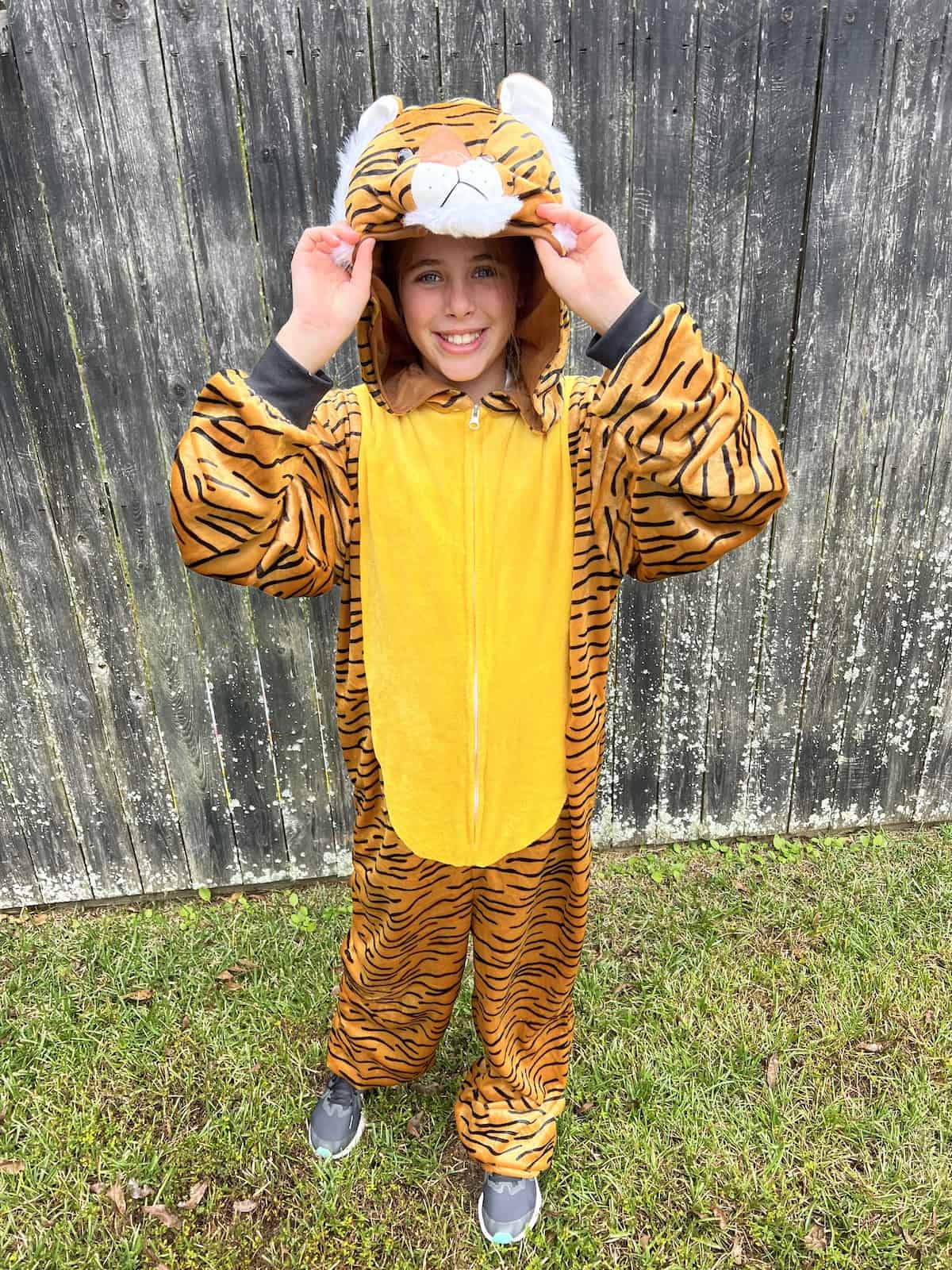 family aladdin costume ideas - rajah