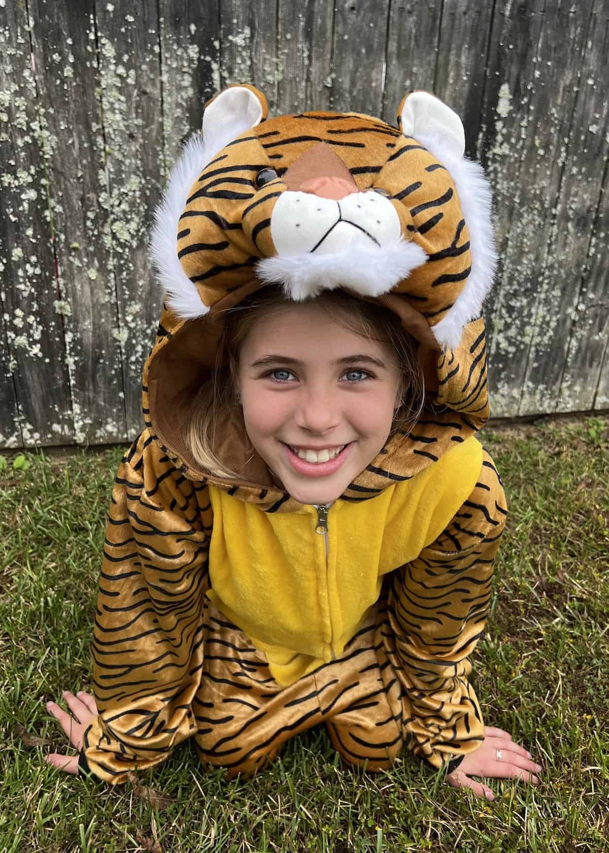 disney family costume ideas - rajah from aladdin