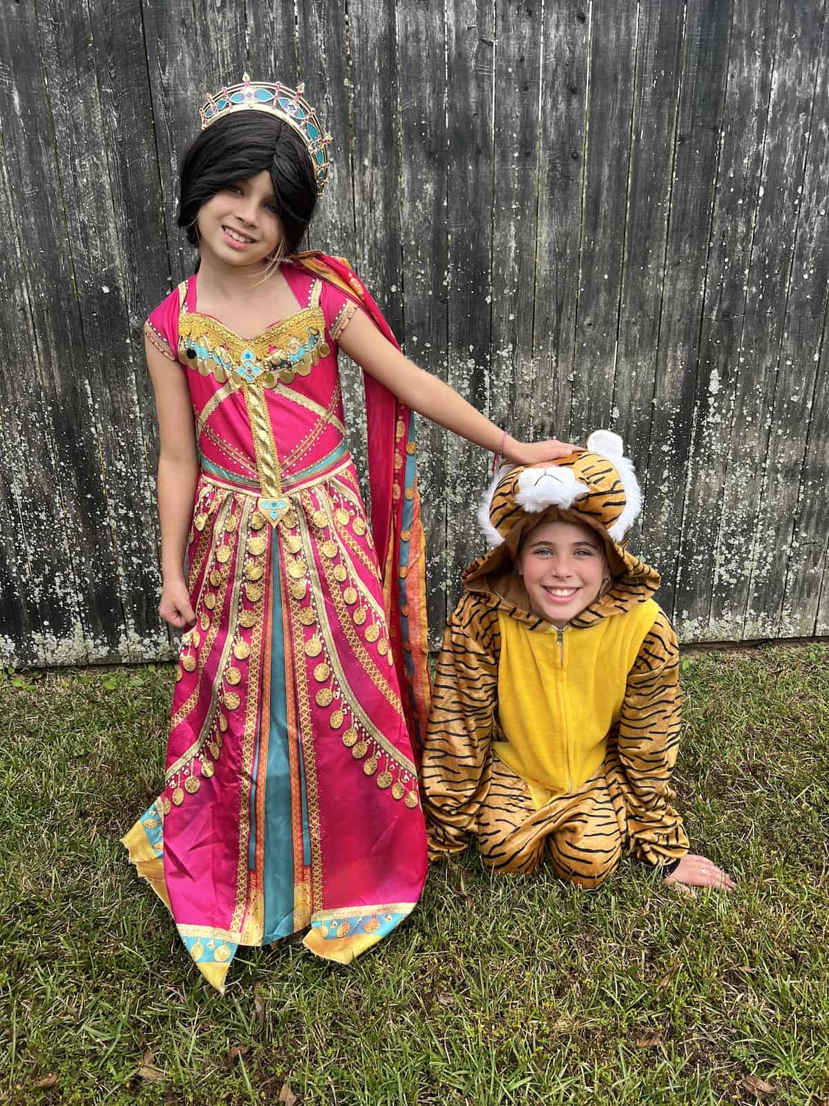 jasmine and rajah aladdin themed halloween costumes 