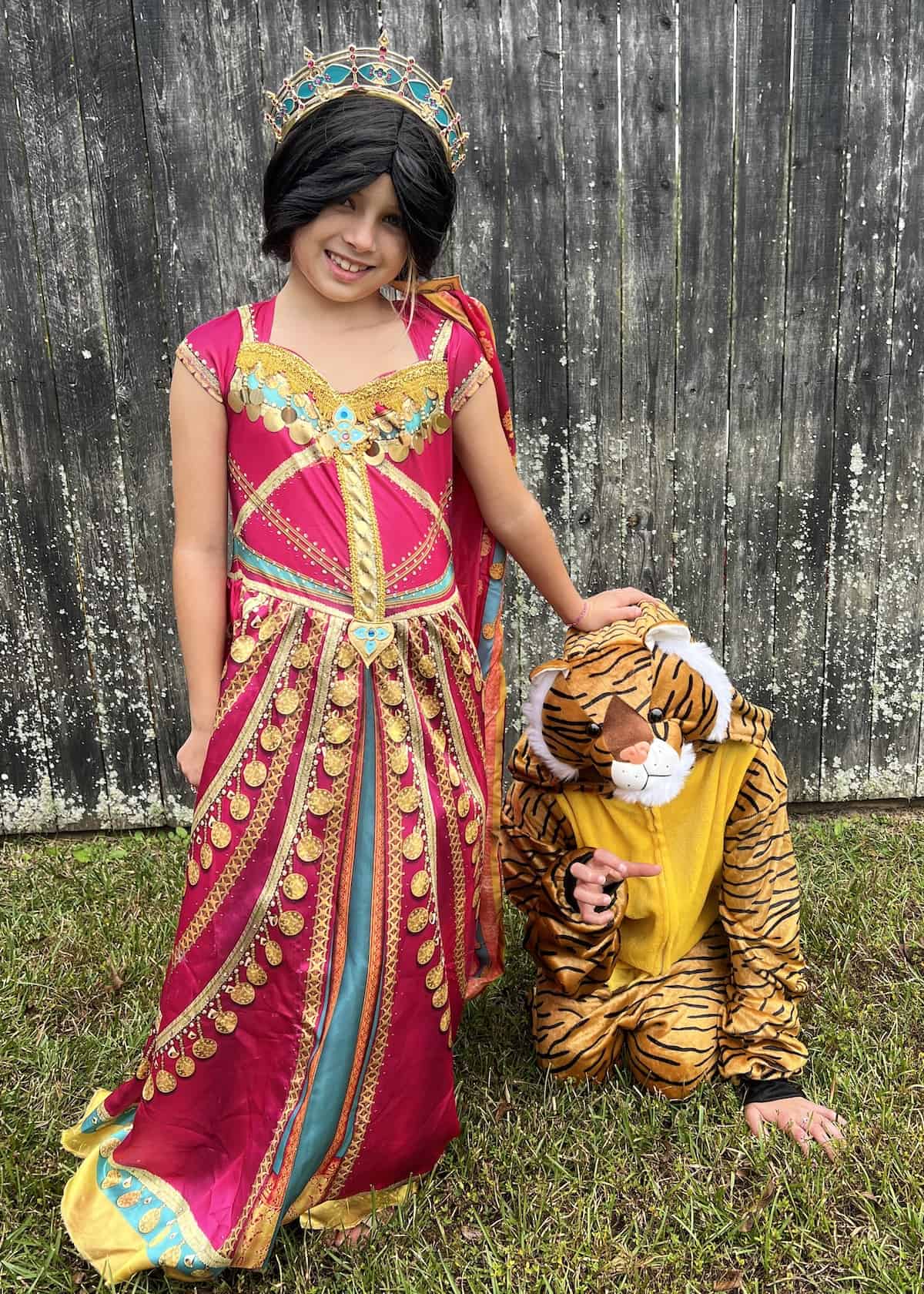 live action jasmine and rajah costumes