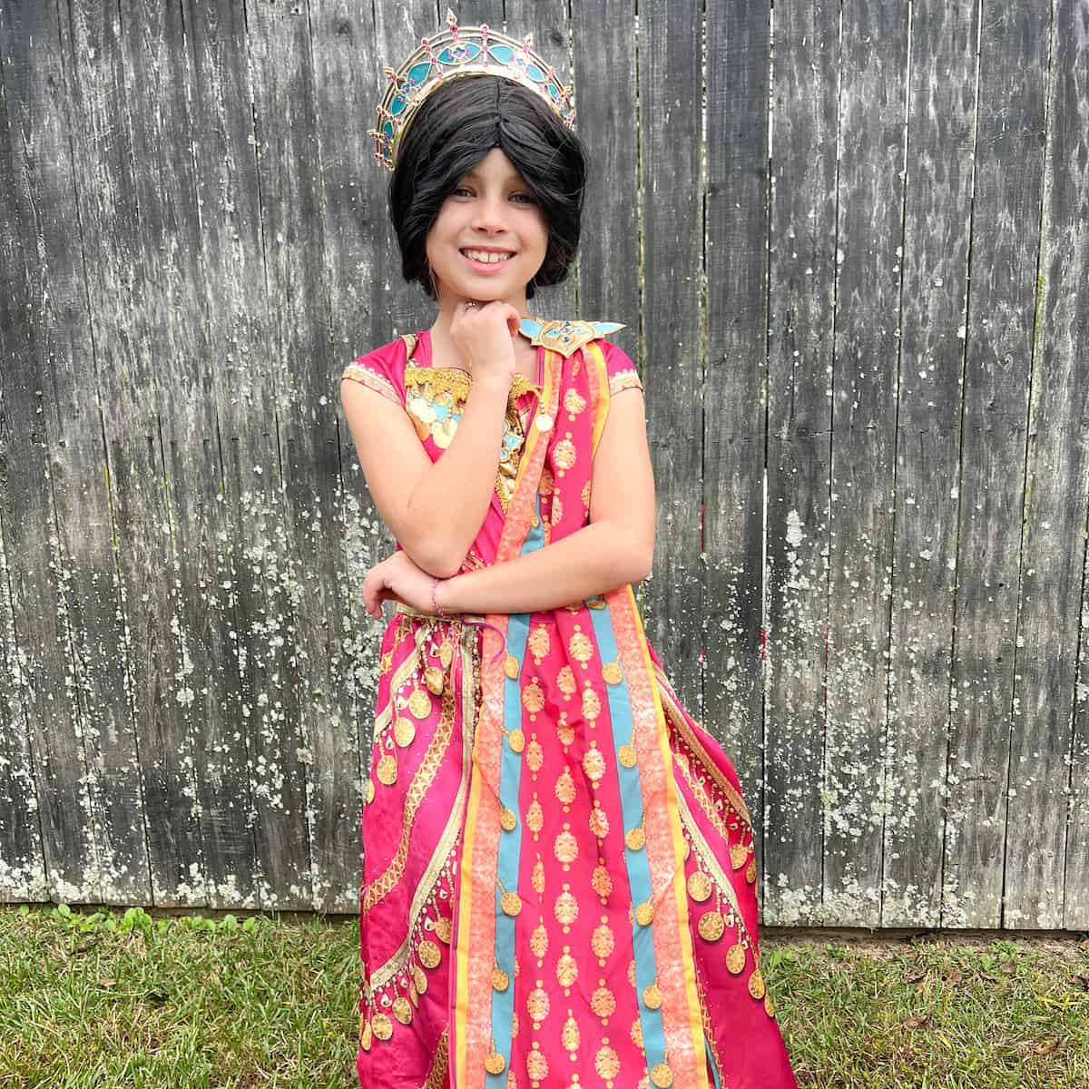 family halloween costumes aladdin - princess jasmine costume