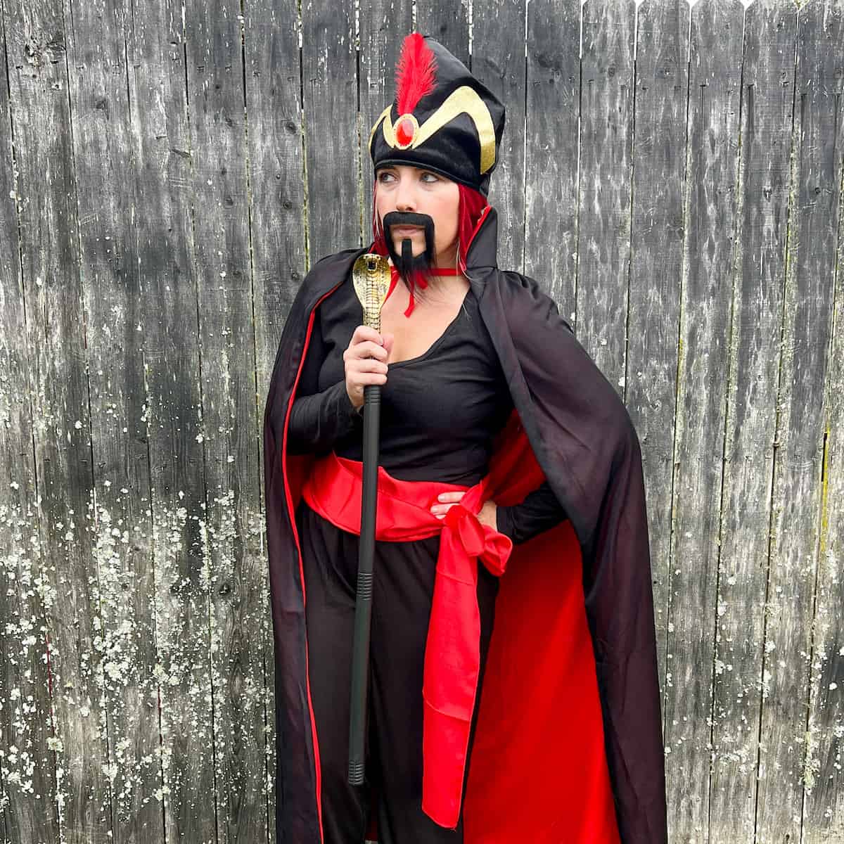 aladdin costumes for family - jafar halloween costume