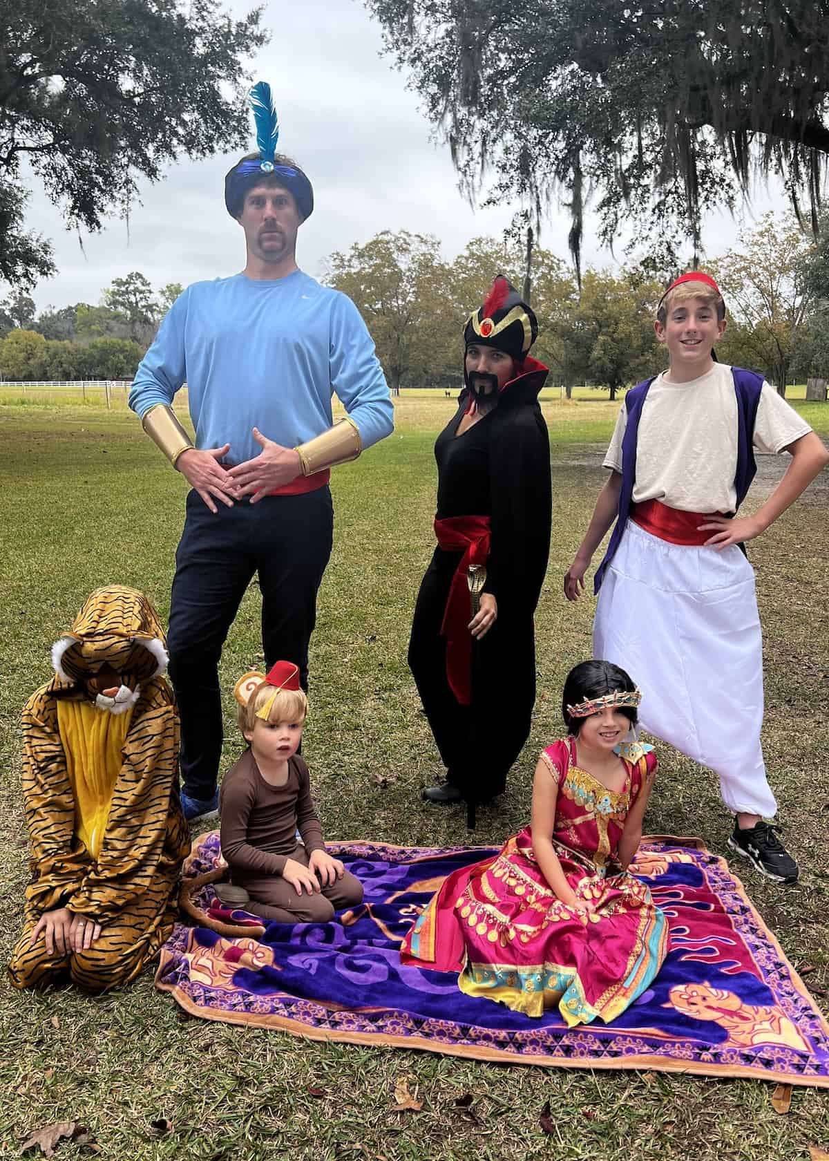 aladdin costumes for family - aladdin family halloween costumes 