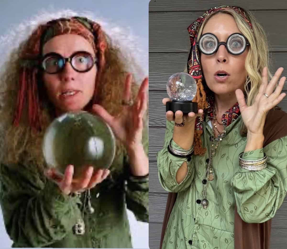 Professor Trelawney Costume