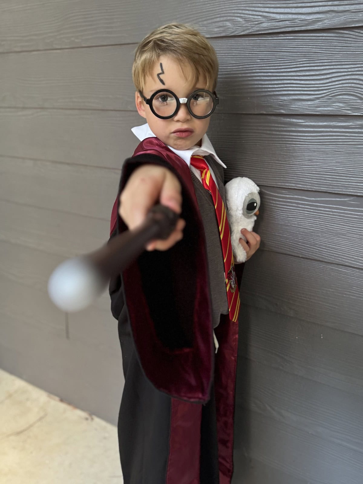 Harry Potter Halloween Costume