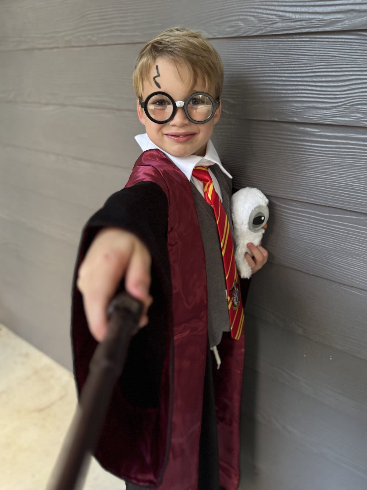 Harry Potter Halloween Costume