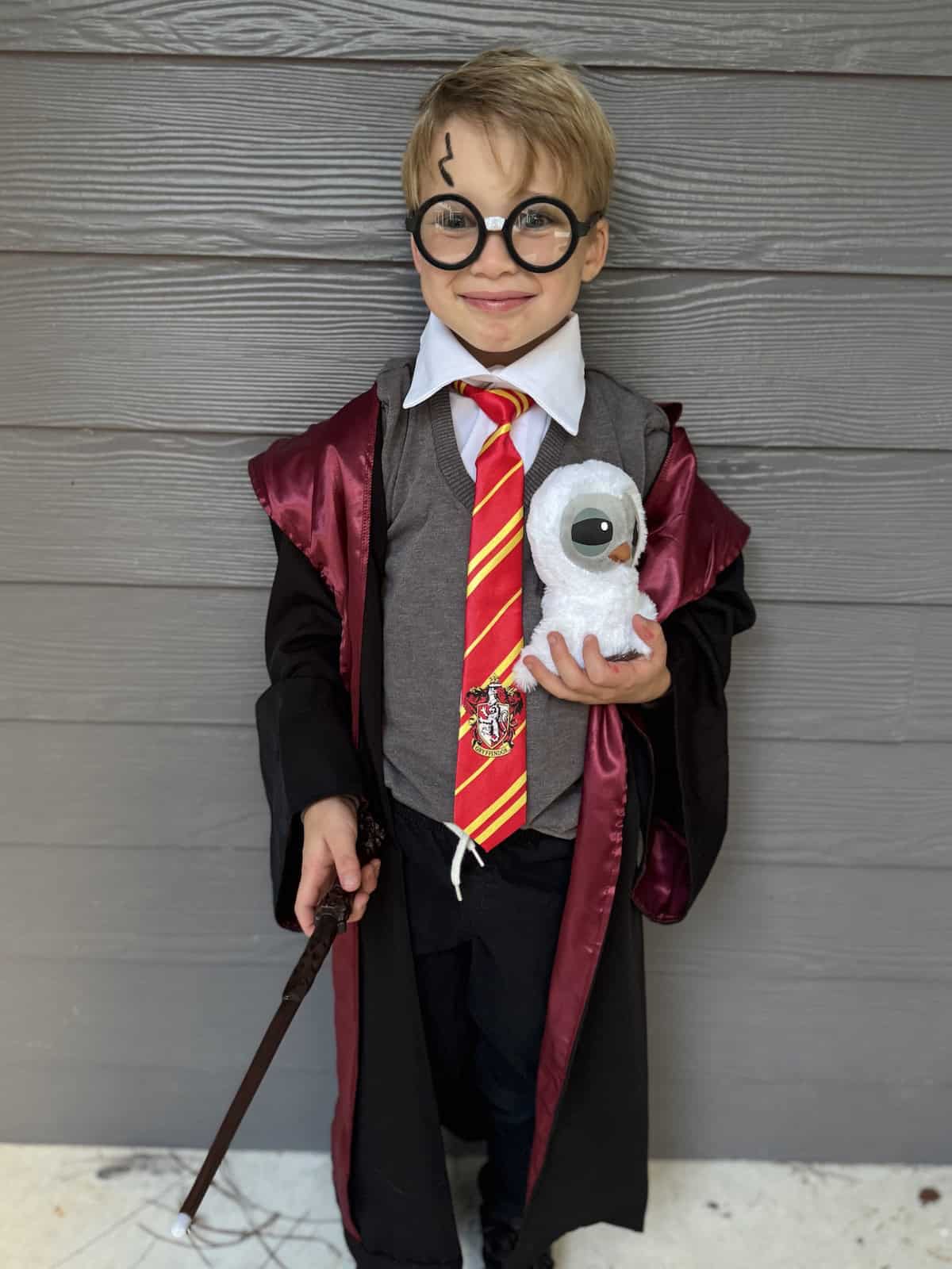 Harry Potter Halloween Costume