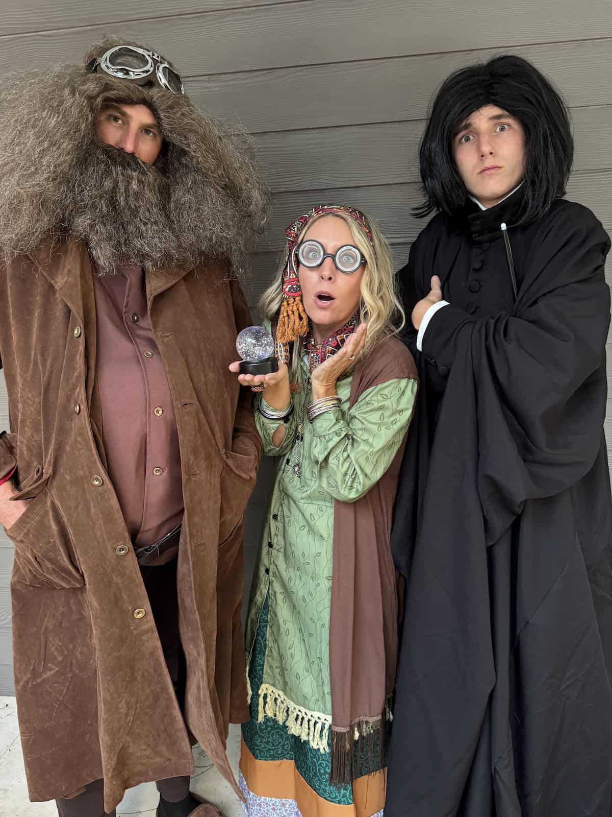 Harry Potter Family Costumes