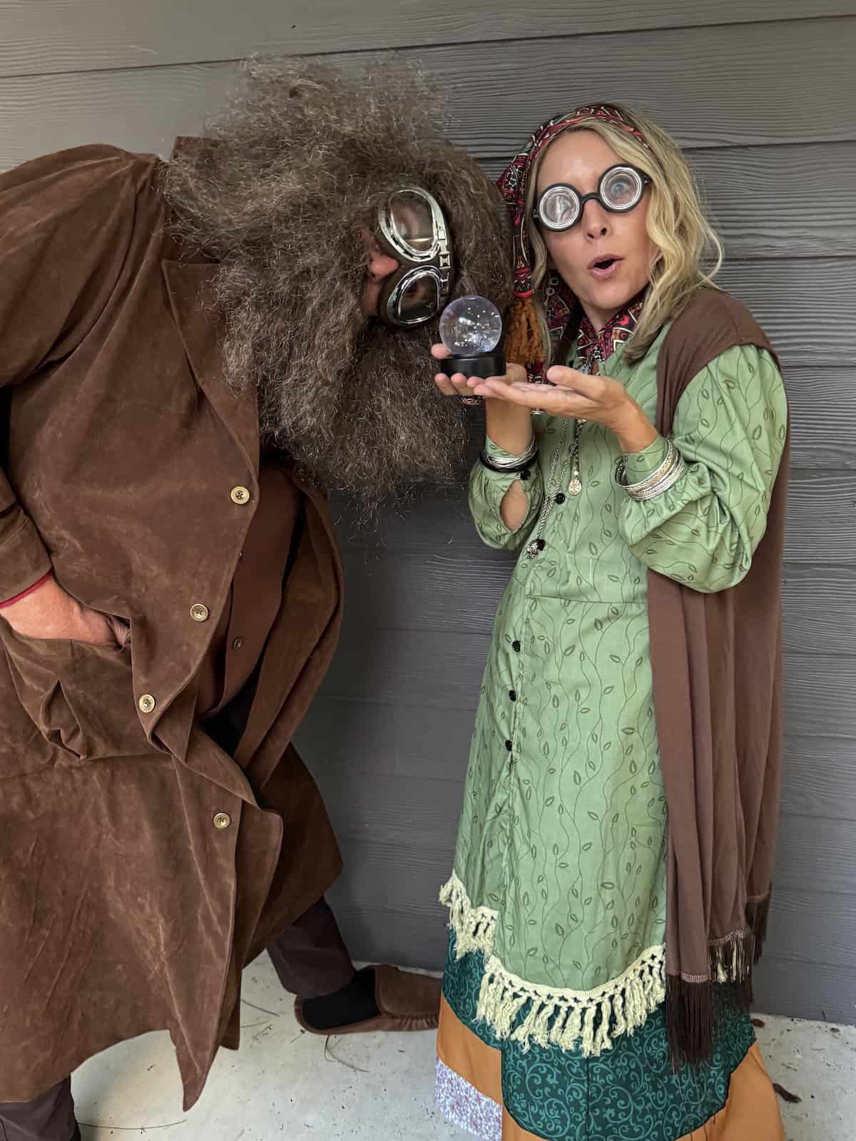 Harry Potter Family Costumes