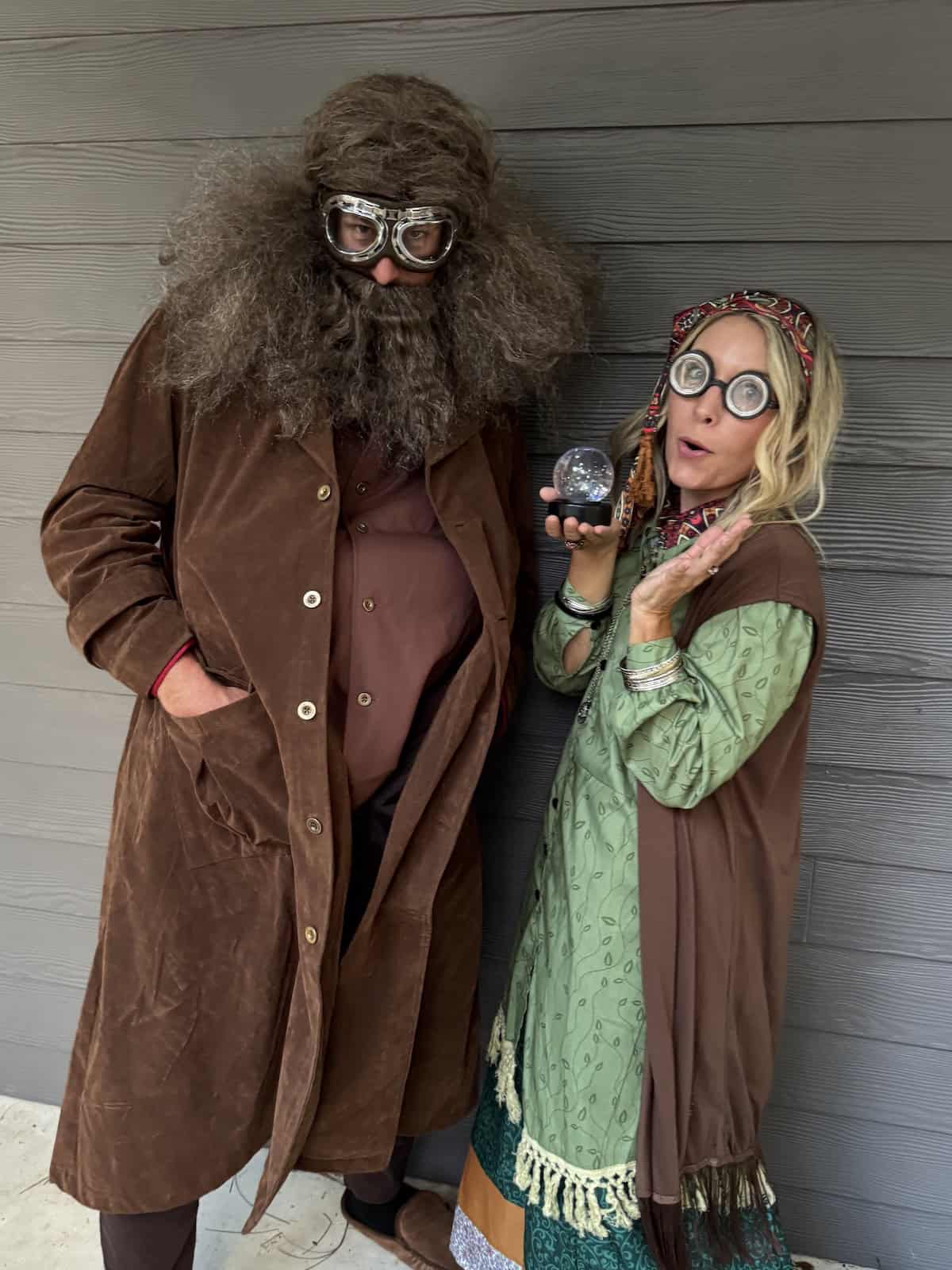 Harry Potter Family Costumes