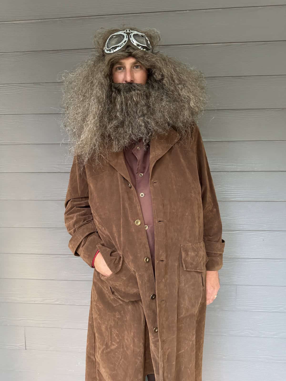 harry potter hagrid halloween costume