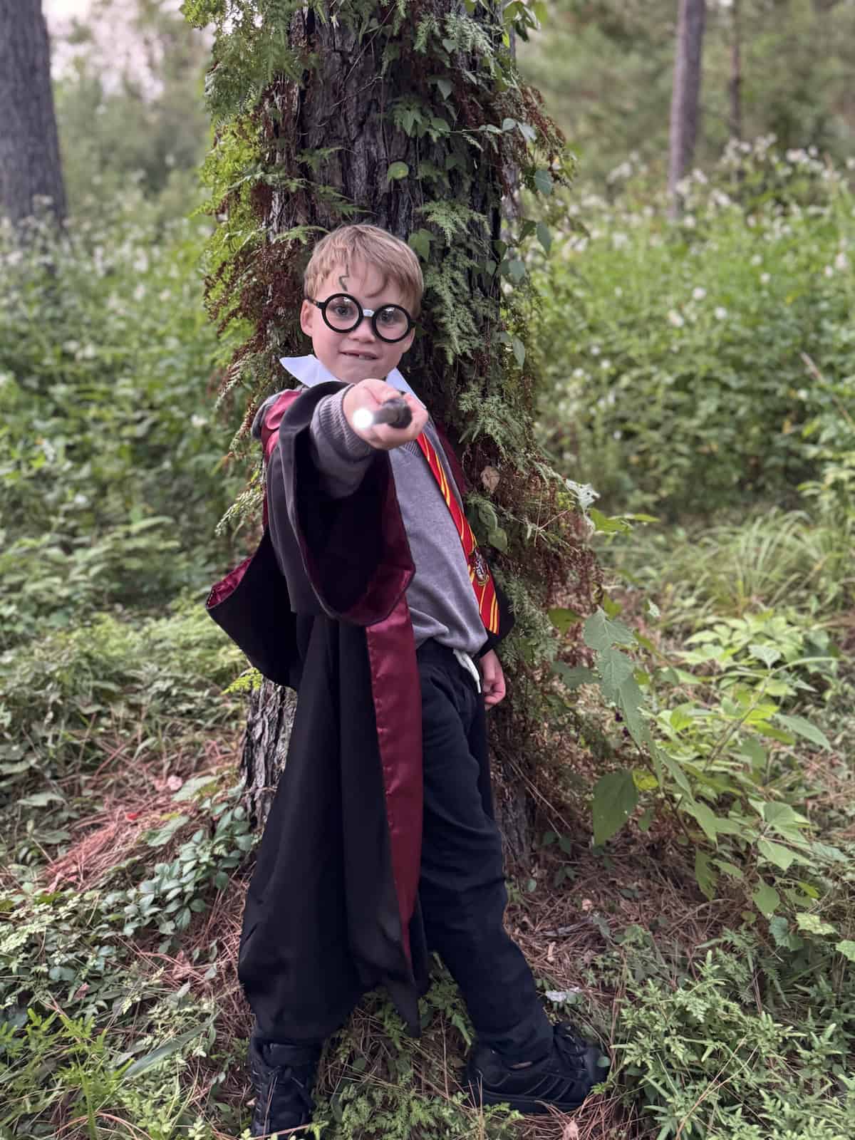 Harry Potter themed costume