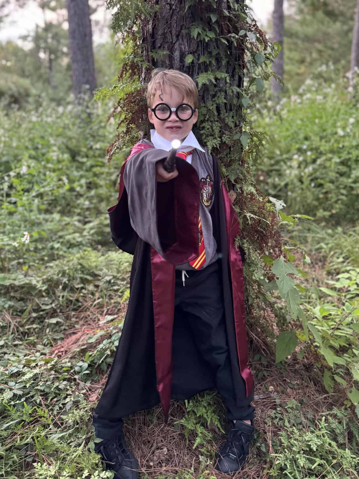 Harry Potter Dress up 