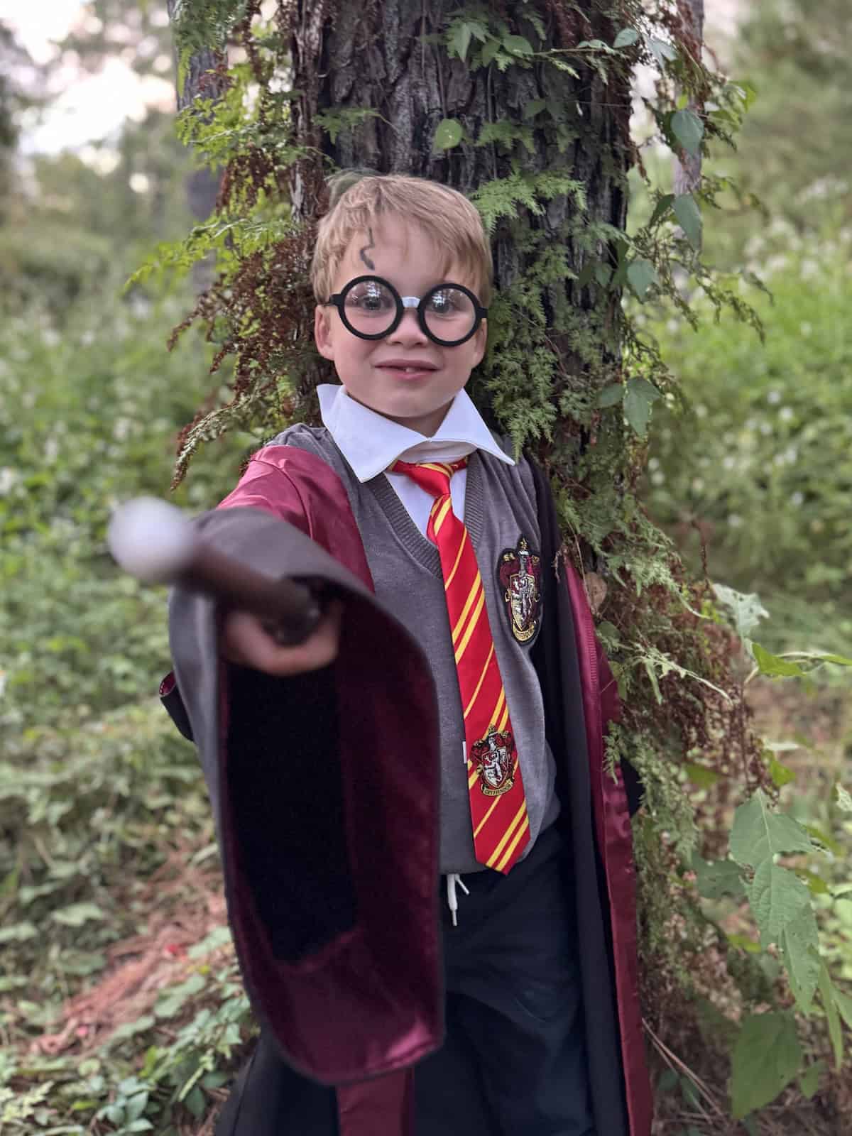 Harry Potter Halloween Costume easy